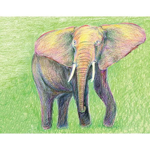 12 Ct. Tri-Colored Eco Pencils