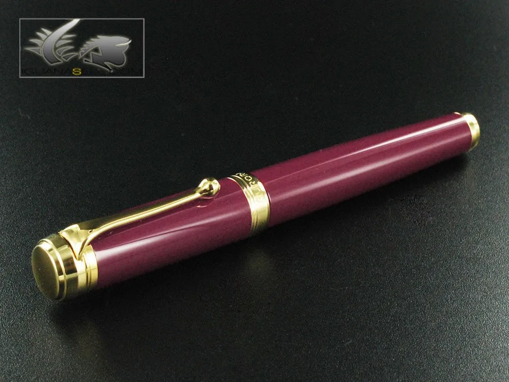 Aurora Talentum Burgundy w/ Gold Trim Bold Point Fountain Pen - AU-D12X-B