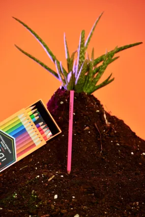 Bright Ideas Neon Pencils