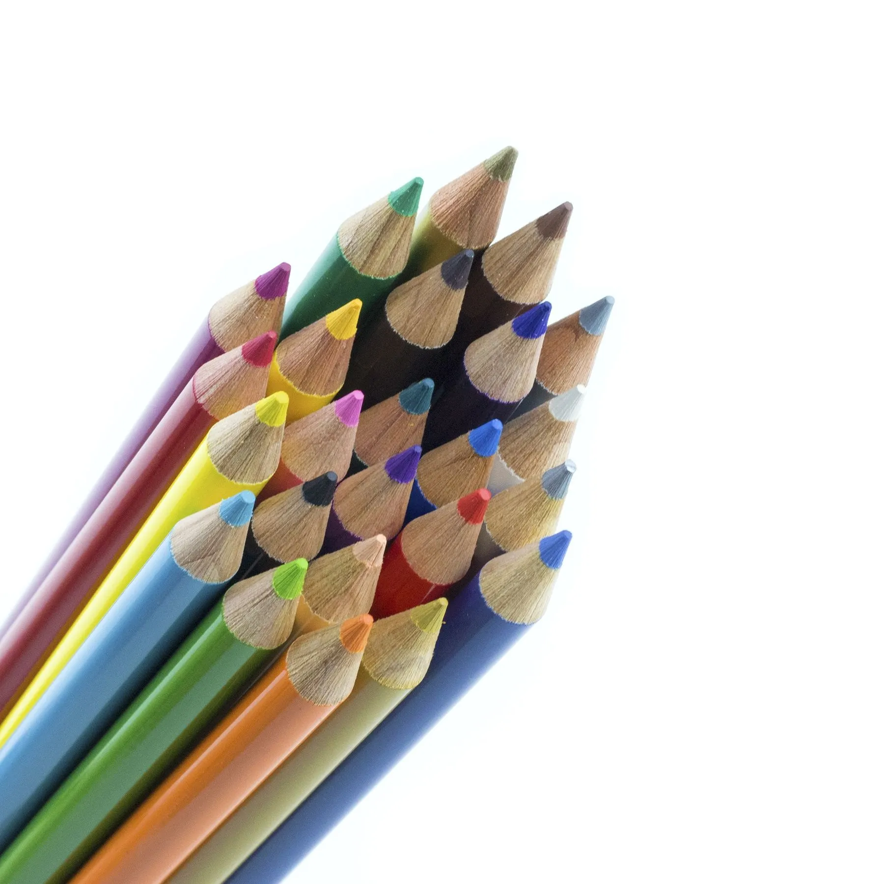 Colored Pencils in Tin, 24