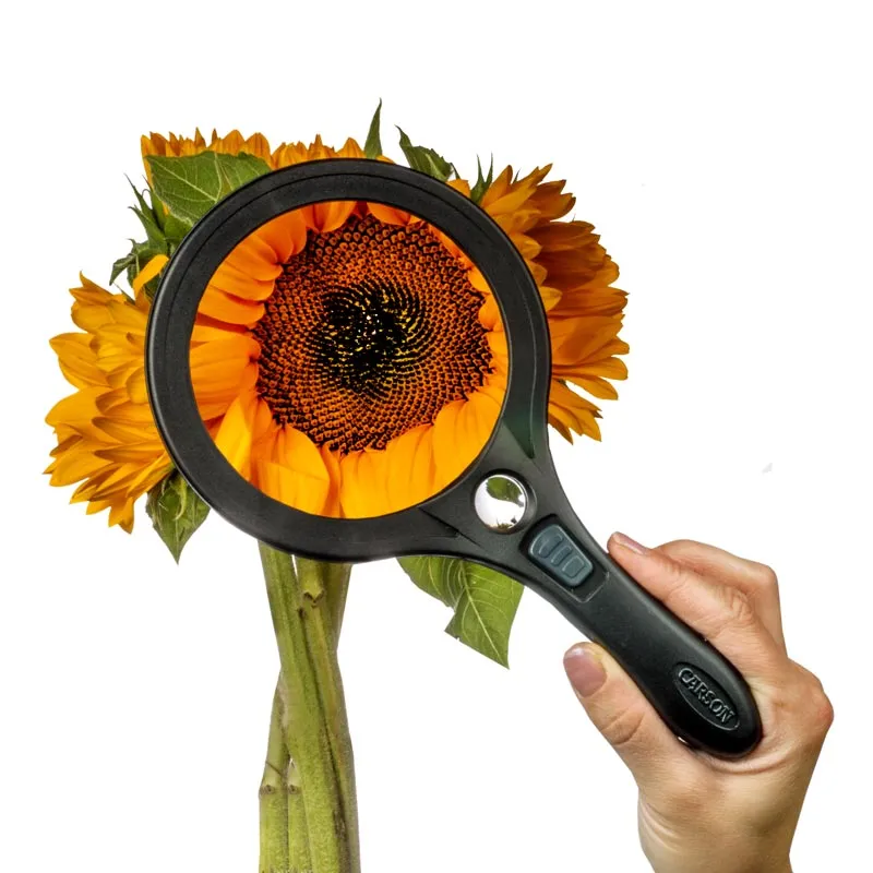 Handheld Large LED Magnifier