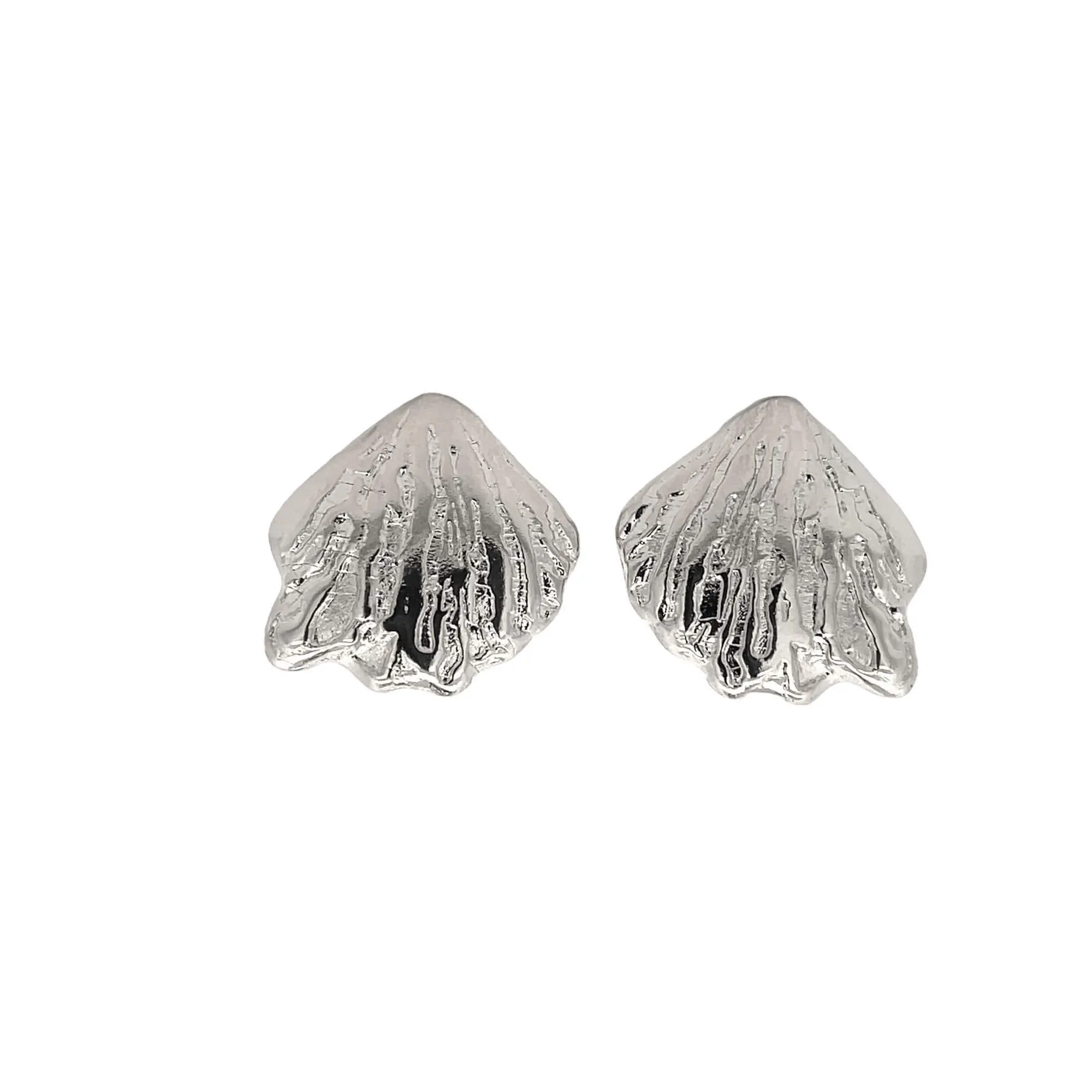 Hard Shell Clam Push Back Earrings (L473A)