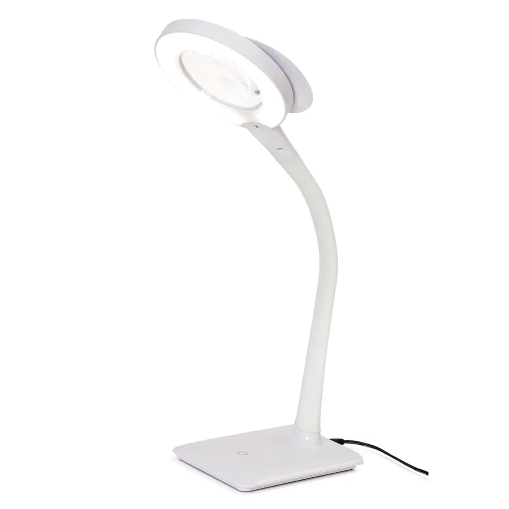 Magnifying Desk Lamp