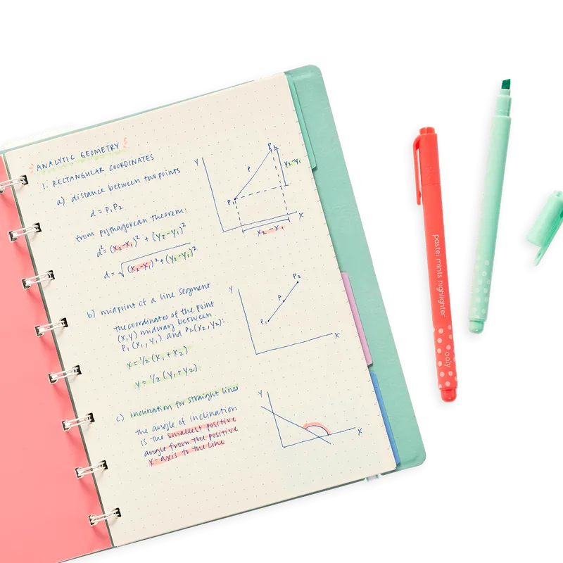Pastel Mints Scented Flextip Highlighters Set of 10